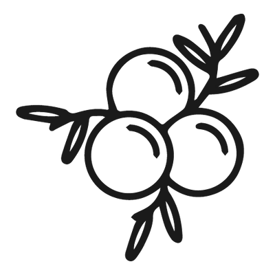 Black Elderberry Extract