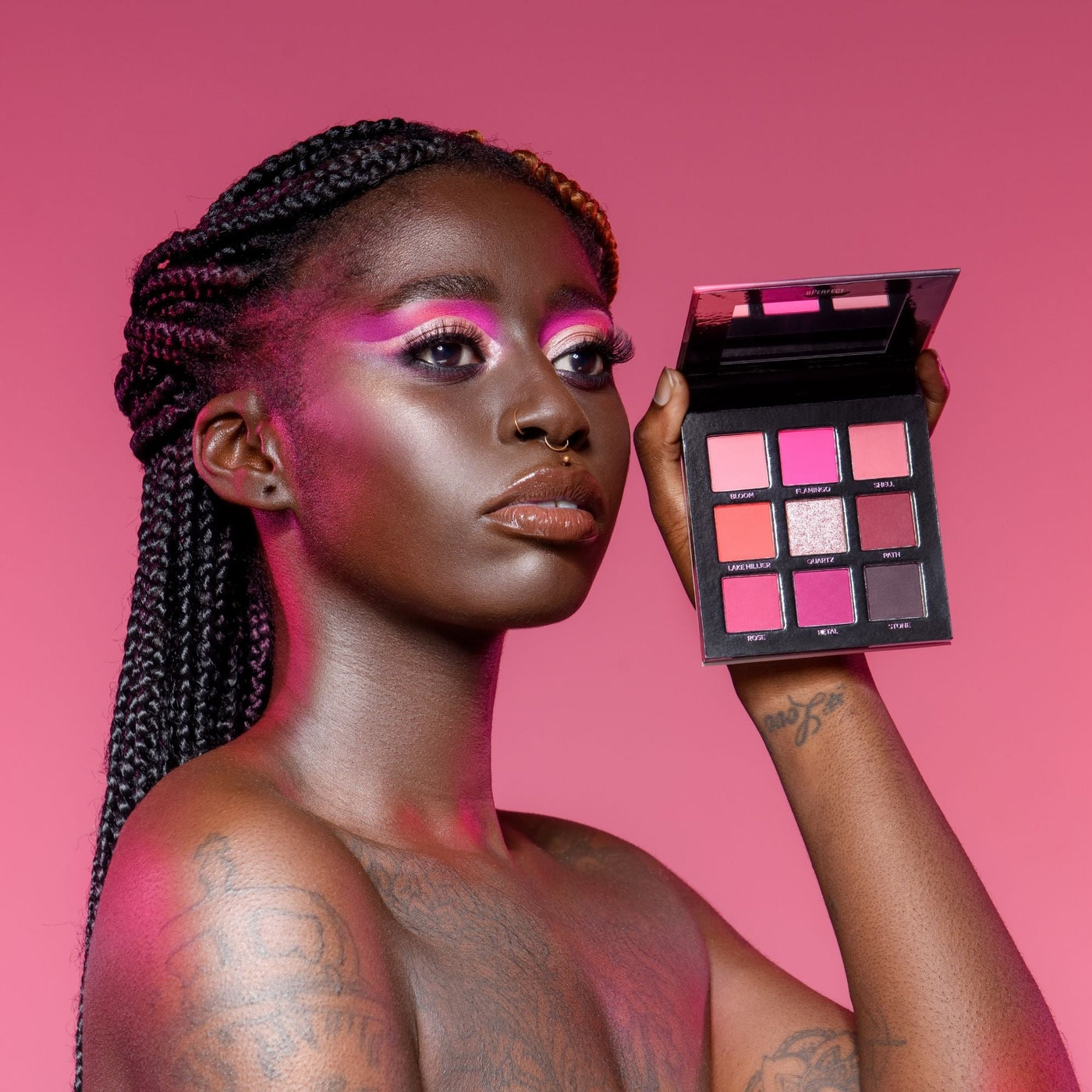 Compass of Creativity - Quad Shadow Collection